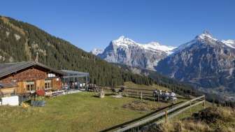 Mountain restaurant Bussalp 1